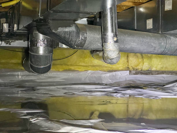 Best Ceiling water damage repair  in Chillum, MD